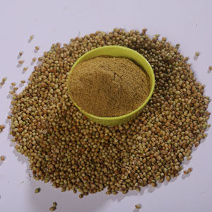 Coriander Powder 50g