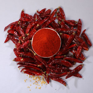 Red Chilli Powder 100g